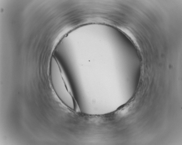 X0000088600815200706151800