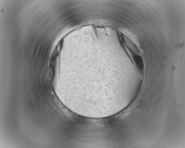 X0000088600816200706151800