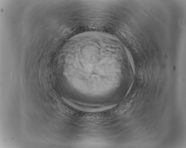 X0000088600817200706151759