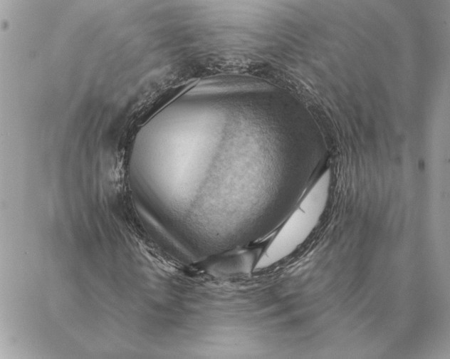 X0000088600818200706151759