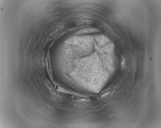 X0000088600819200706151759