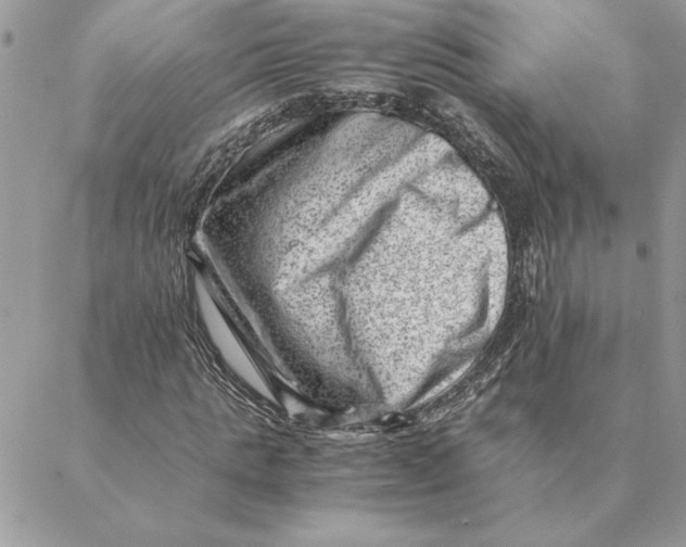 X0000088600821200706151759