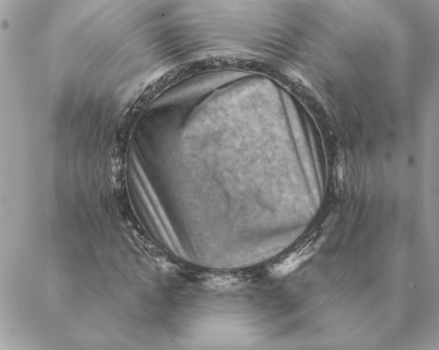 X0000088600822200706151759