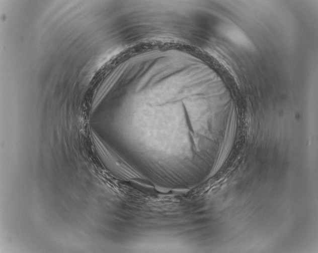 X0000088600823200706151759