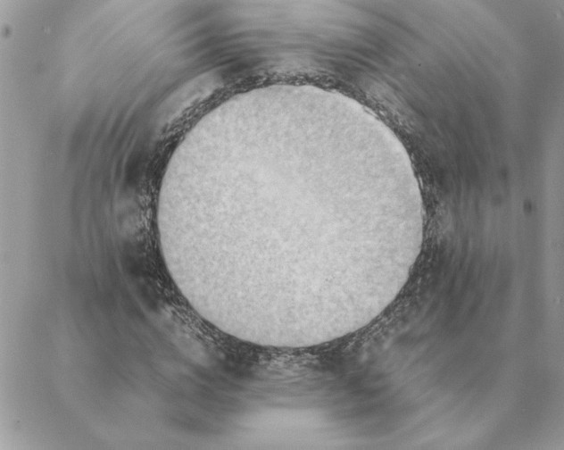 X0000088600824200706151759