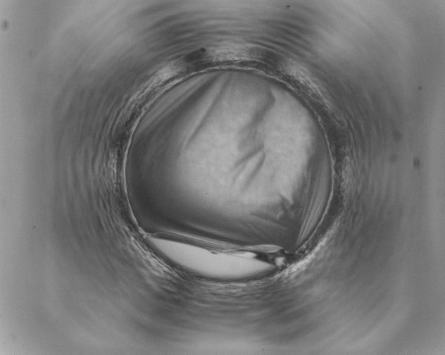 X0000088600825200706151759