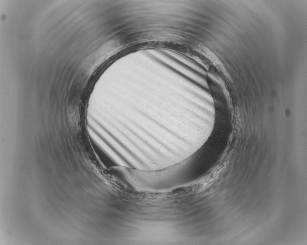 X0000088600826200706151759