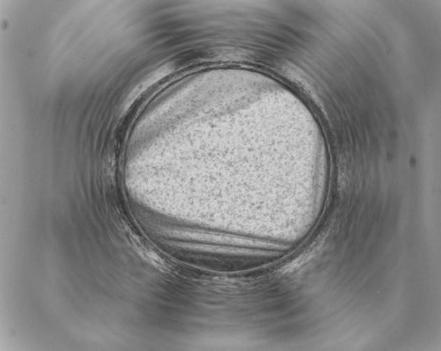 X0000088600827200706151759