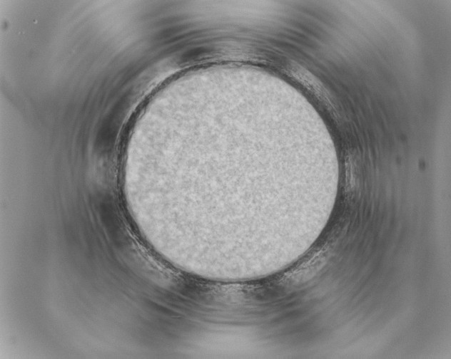 X0000088600828200706151759