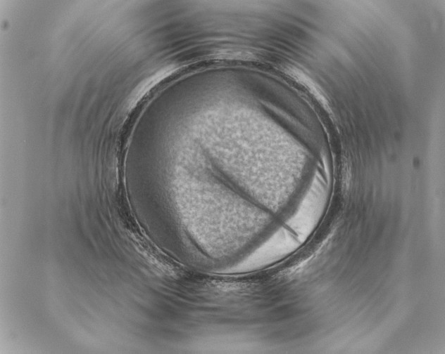 X0000088600829200706151759