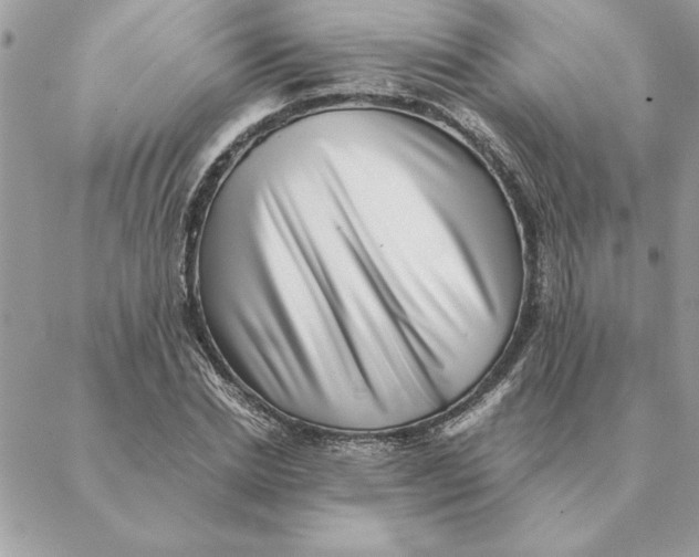 X0000088600830200706151759