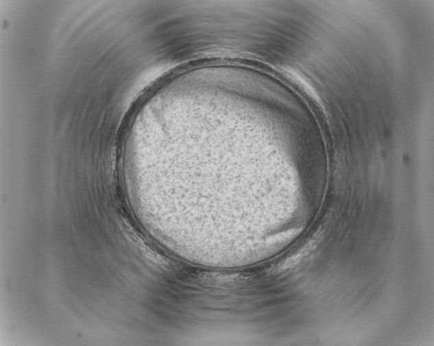 X0000088600831200706151759