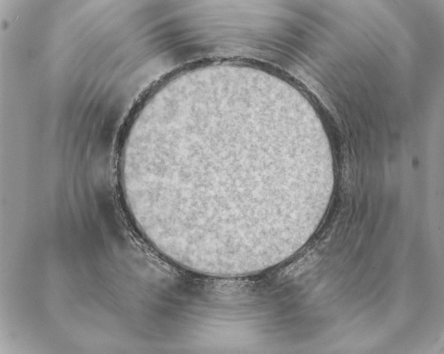 X0000088600832200706151759