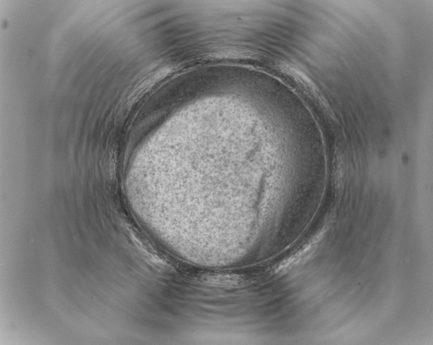 X0000088600833200706151759