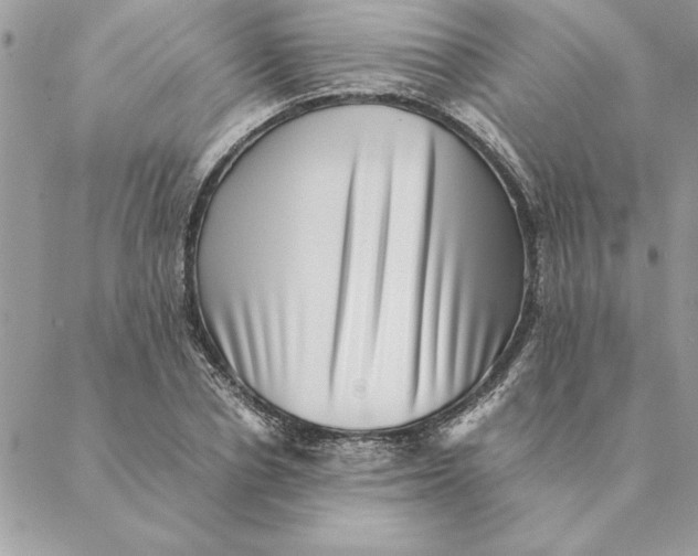 X0000088600834200706151759