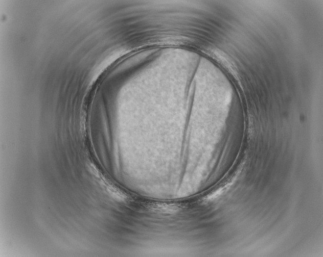 X0000088600835200706151759