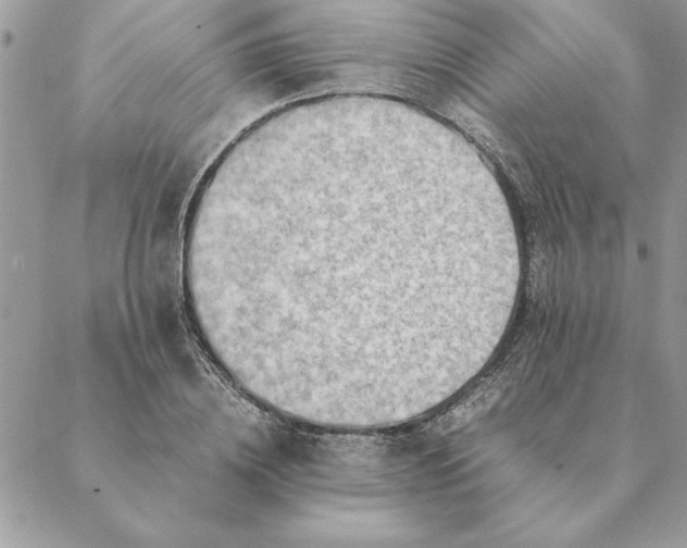 X0000088600836200706151759