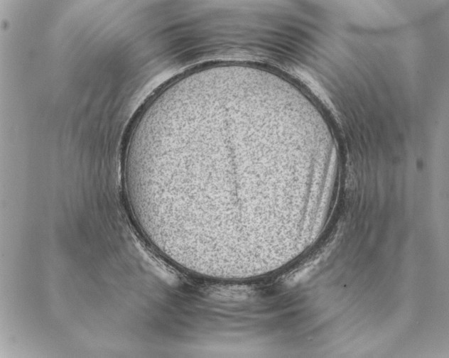 X0000088600837200706151759