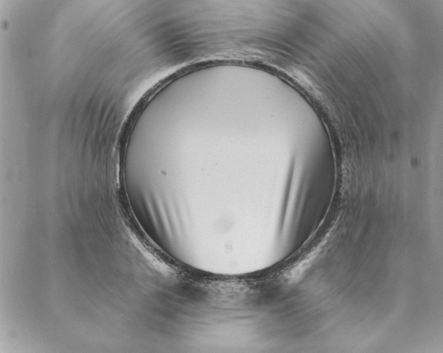 X0000088600838200706151759