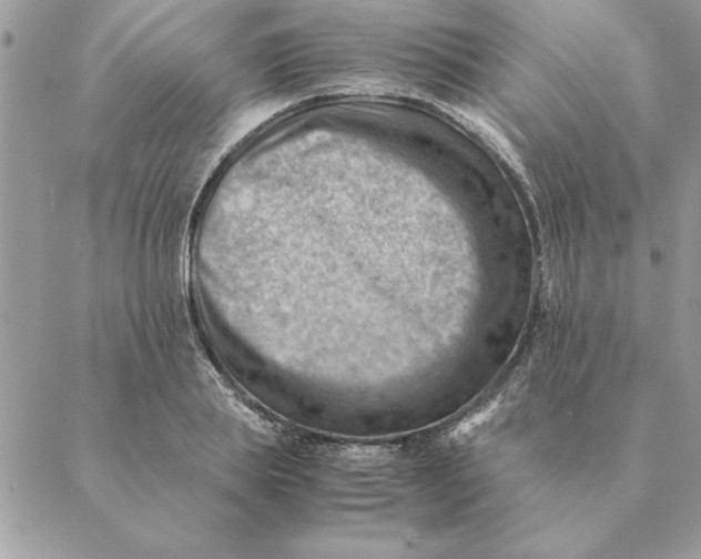 X0000088600839200706151759