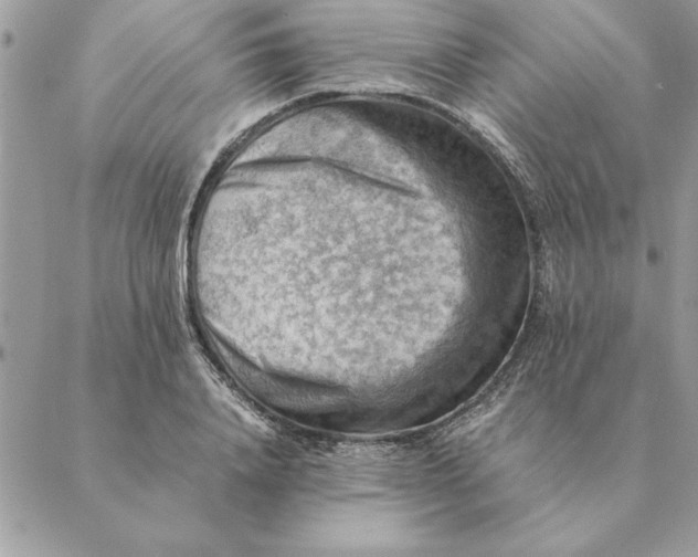 X0000088600840200706151759