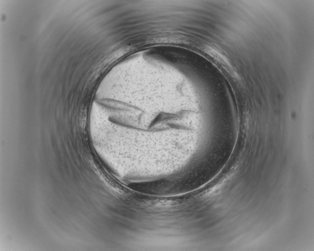 X0000088600841200706151759