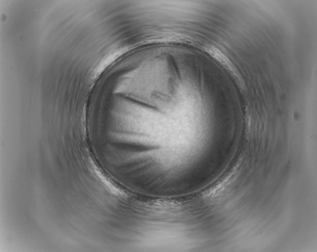 X0000088600842200706151759