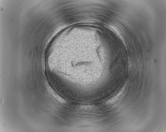 X0000088600843200706151759