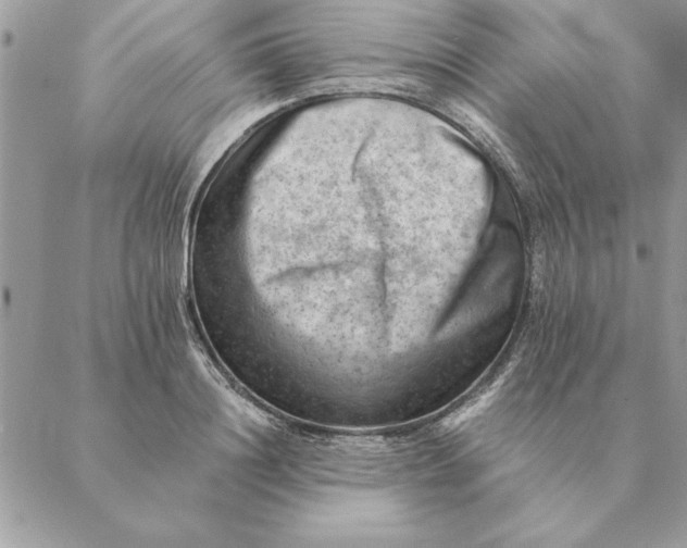 X0000088600844200706151759