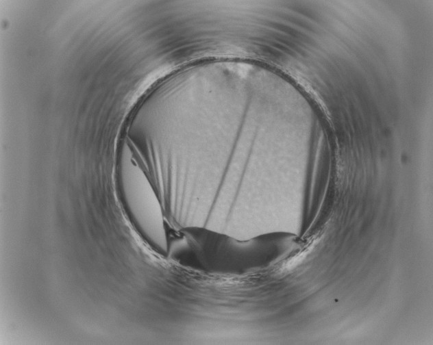 X0000088600845200706151759