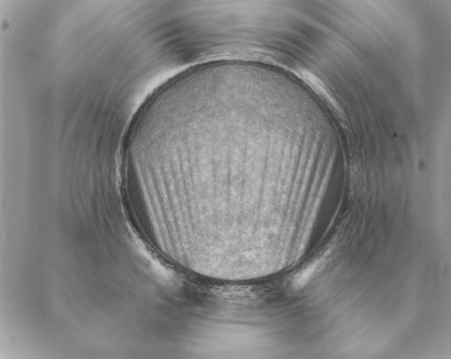 X0000088600846200706151759