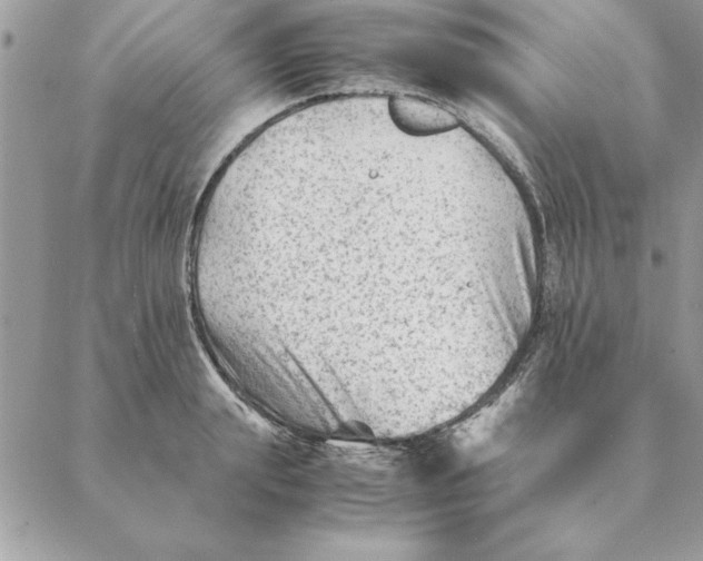 X0000088600847200706151759