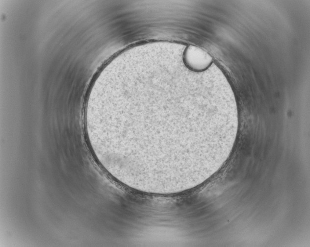 X0000088600848200706151759