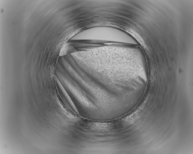 X0000088600849200706151759