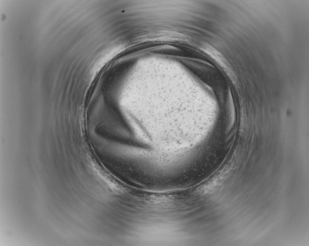 X0000088600850200706151759