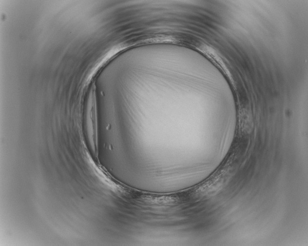 X0000088600851200706151759