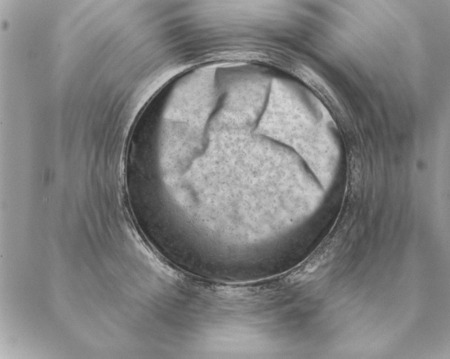 X0000088600852200706151759