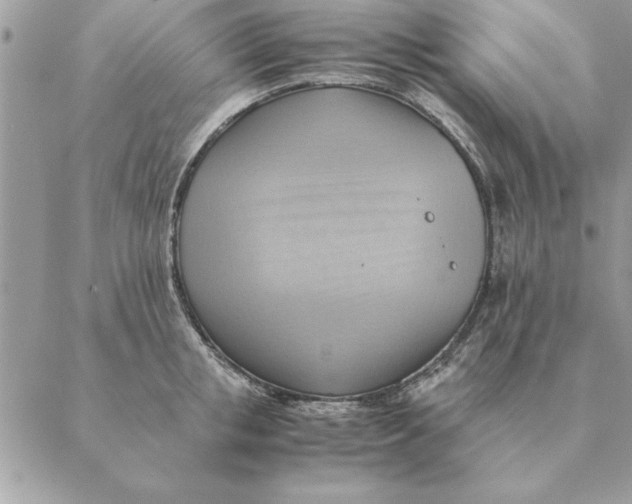 X0000088600853200706151759