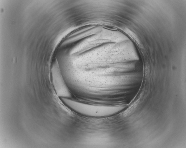 X0000088600854200706151759