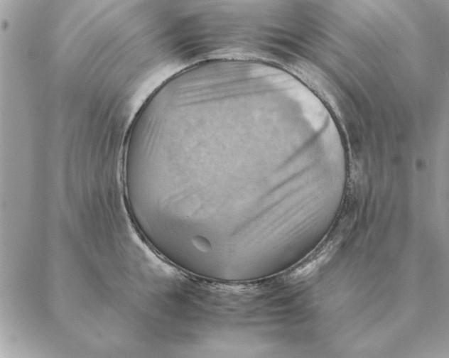 X0000088600855200706151759