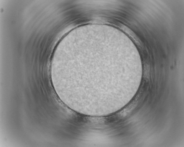 X0000088600856200706151759