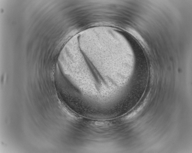 X0000088600857200706151759