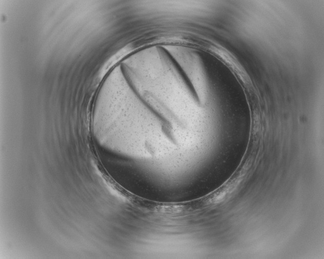 X0000088600858200706151759