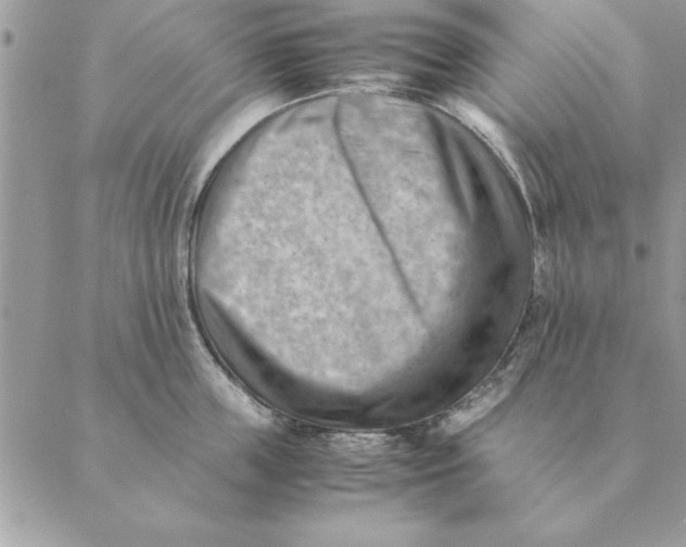 X0000088600859200706151759