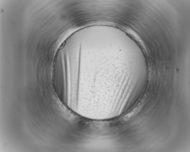 X0000088600860200706151759