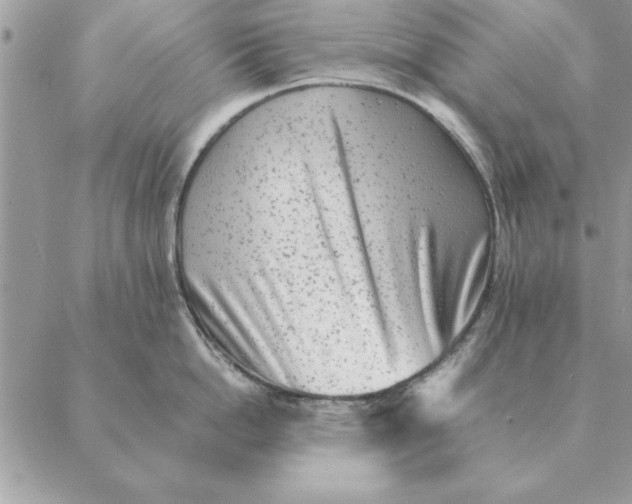 X0000088600862200706151800