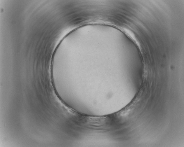 X0000088600863200706151800