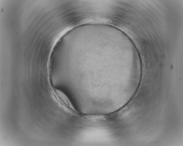 X0000088600864200706151800