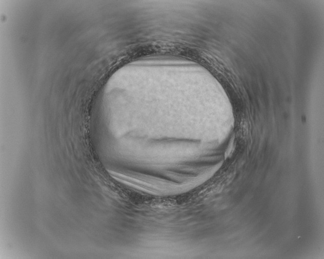 X0000088600865200706151759