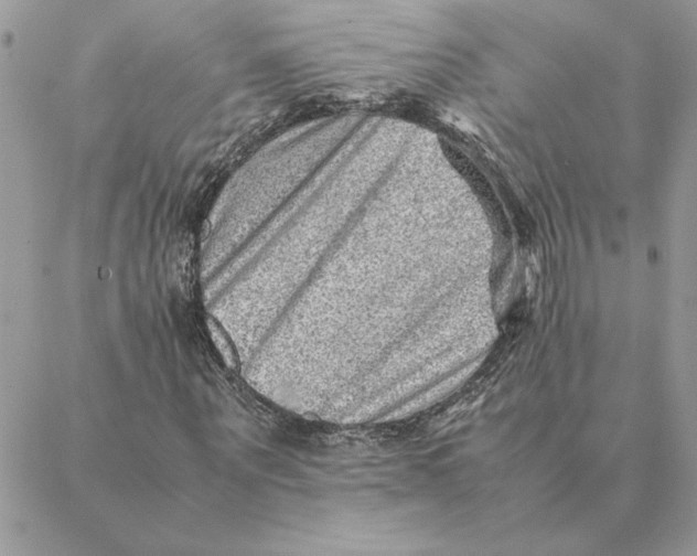 X0000088600867200706151759